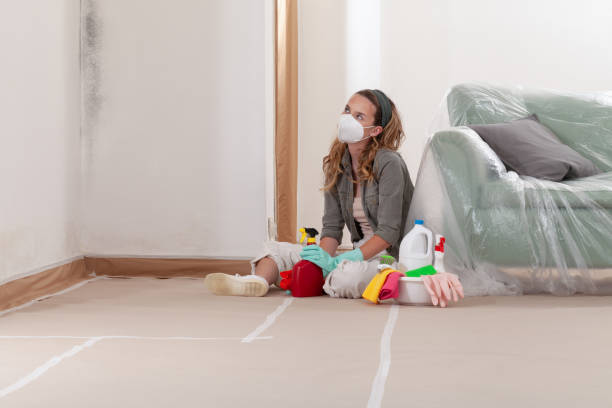 Reliable Mold Remediation contractor in Fairfield, TX by Cheap Mold Removal